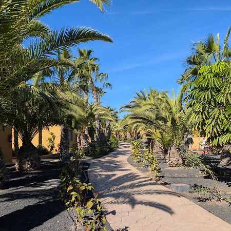 Casa Miro Daire Corralejo Dış mekan fotoğraf