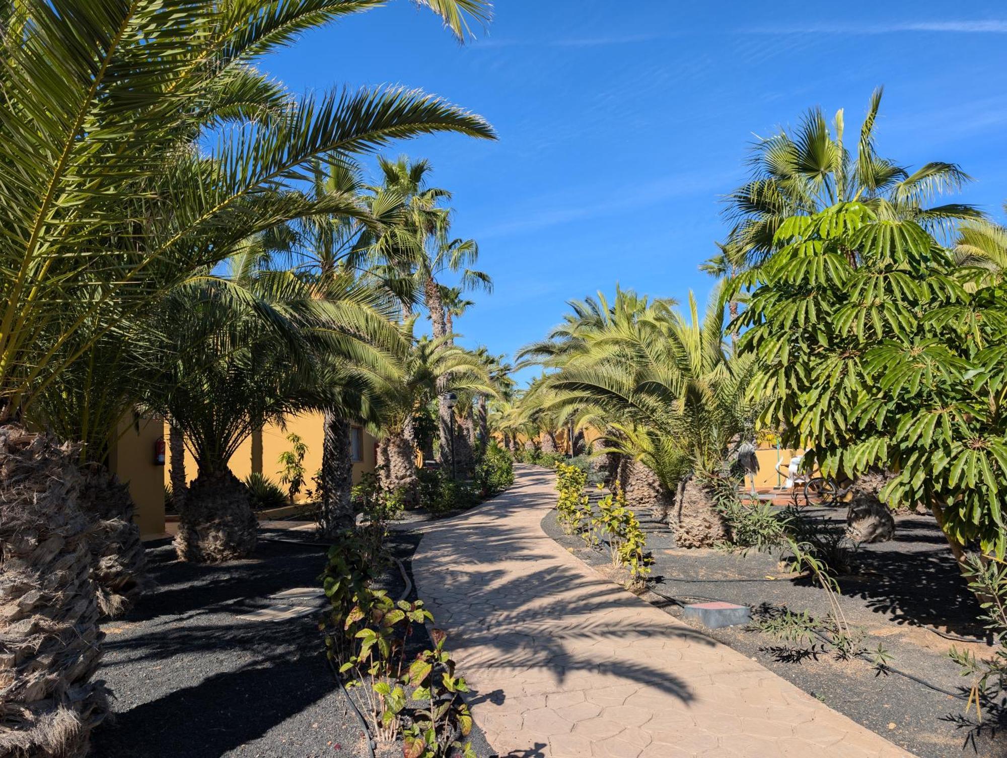 Casa Miro Daire Corralejo Dış mekan fotoğraf