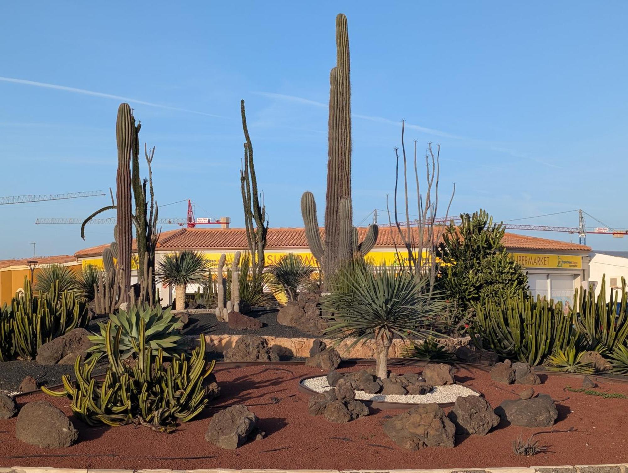 Casa Miro Daire Corralejo Dış mekan fotoğraf