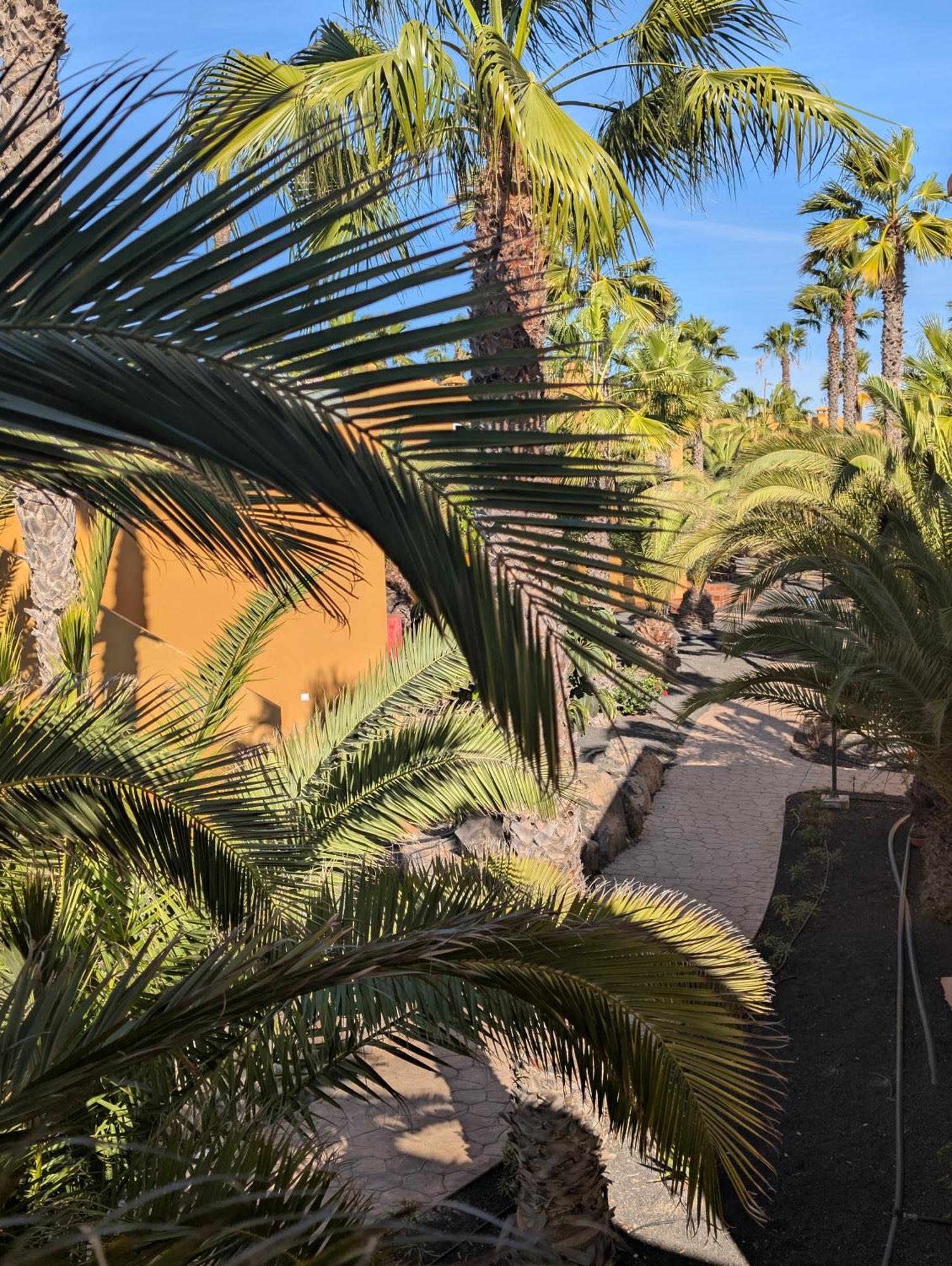 Casa Miro Daire Corralejo Dış mekan fotoğraf